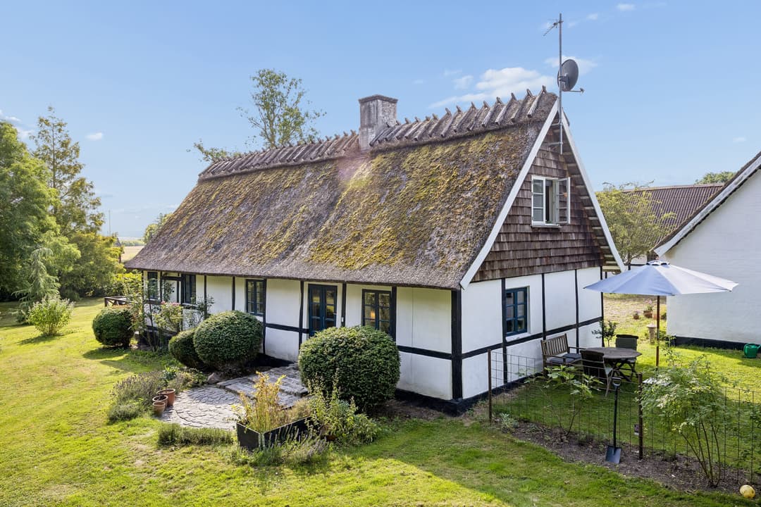 STRÅTÆKT LANDIDYL OG KØKKEN-ALRUM, billede 1 af 8